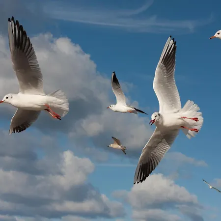 Studio Meissner - Parkresidenz